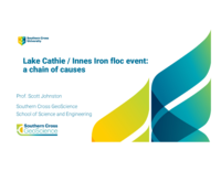 Lake Cathie / Innes Iron floc event: a chain of causes