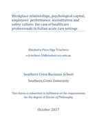 Workplace relationships, psychological capital, employees' performance, accreditation and safety culture : the case of healthcare professionals in Italian acute care settings