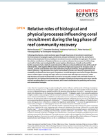 Relative roles of biological and physical processes influencing coral recruitment during the lag phase of reef community recovery