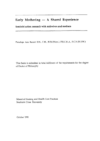 Early mothering - a shared experience : feminist action research with midwives and mothers