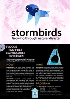 Stormbirds: Growing Through Natural Disaster: Factsheet Bushfires