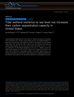 Tidal wetland resilience to sea level rise increases their carbon sequestration capacity in United States