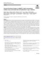 Structure-functional changes in eNAMPT at high concentrations mediate mouse and human beta cell dysfunction in type 2 diabetes