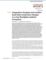 Integration of palaeo-and-modern food webs reveal slow changes in a river floodplain wetland ecosystem