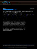 Bark-dwelling methanotrophic bacteria decrease methane emissions from trees