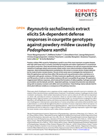 Reynoutria sachalinensis extract elicits SA-dependent defense responses in courgette genotypes against powdery mildew caused by Podosphaera xanthii
