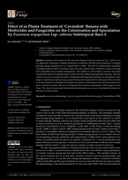 Effect of in Planta Treatment of ‘Cavendish’ Banana with Herbicides and Fungicides on the Colonisation and Sporulation by Fusarium oxysporum f.sp. cubense Subtropical Race 4