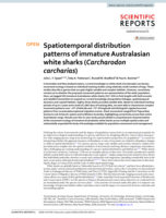 Spatiotemporal distribution patterns of immature Australasian white sharks (Carcharodon carcharias)