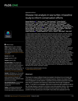 Disease risk analysis in sea turtles: A baseline study to inform conservation efforts