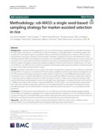 Methodology: ssb-MASS: a single seed-based sampling strategy for marker-assisted selection in rice