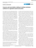 Concerns and uncertainties relating to methane emissions synthesis for vegetated coastal ecosystems
