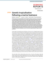 Genetic tropicalisation following a marine heatwave