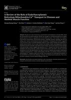 A review of the role of endo/sarcoplasmic reticulum-mitochondria ca2+ transport in diseases and skeletal muscle function