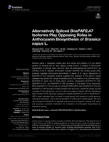 Alternatively Spliced BnaPAP2.A7 Isoforms Play Opposing Roles in Anthocyanin Biosynthesis of Brassica napus L