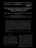 Effects of short-term capture on the physiology of white sharks Carcharodon carcharias: Amino acids and fatty acids