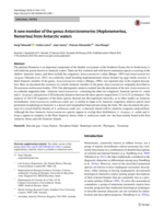 A new member of the genus Antarctonemertes (Hoplonemertea, Nemertea) from Antarctic waters