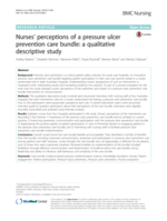 Nurses’ perceptions of a pressure ulcer prevention care bundle: a qualitative descriptive study