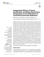 Antagonistic Effects of Ocean Acidification and Rising Sea Surface Temperature on the Dissolution of Coral Reef Carbonate Sediments