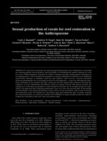 Sexual production of corals for reef restoration in the Anthropocene