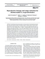 Reproductive biology and range extension for Mobula kuhlii cf. eregoodootenkee