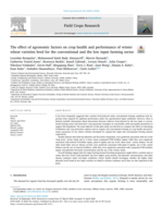 The effect of agronomic factors on crop health and performance of winter wheat varieties bred for the conventional and the low input farming sector