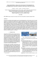 What identifies a whale by its fluke? On the benefit of interpretable machine learning for whale identification