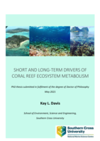 Short and long-term drivers of coral reef ecosystem metabolism