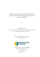 Processing and fate of carbon and nitrogen in unvegetated estuarine sediments under future climate conditions
