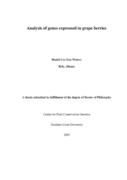 Analysis of genes expressed in grape berries