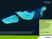Relationships between Zooplankton production, pelagic fish production and commercial finfish catch in tropical shelves