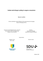 Carbon and nitrogen cycling in seagrass ecosystems