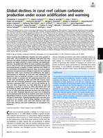 Global declines in coral reef calcium carbonate production under ocean acidification and warming