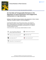 On the Role of Transposable Elements in the Regulation of Gene Expression and Subgenomic Interactions in Crop Genomes