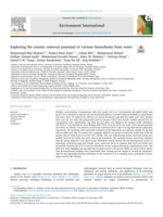 Exploring the arsenic removal potential of various biosorbents from water