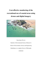 Cost-effective monitoring of the recreational use of coastal areas using drones and digital imagery