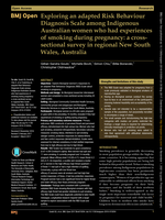 Exploring an adapted Risk Behaviour Diagnosis Scale among Indigenous Australian women who had experiences of smoking during pregnancy: a cross-sectional survey in regional New South Wales, Australia