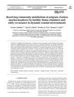 Resolving community metabolism of eelgrass Zostera marina meadows by benthic flume-chambers and eddy covariance in dynamic coastal environments