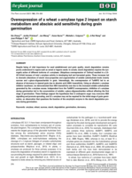 Overexpression of a wheat α-amylase type 2 impact on starch metabolism and abscisic acid sensitivity during grain germination