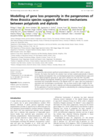 Modelling of gene loss propensity in the pangenomes of three Brassica species suggests different mechanisms between polyploids and diploids