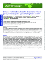 Enriched HeK4me3 marks at Pm-0 resistance-related genes prime courgette against Podosphaera xanthii