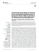 Continental-Scale Network Reveals Cross-Jurisdictional Movements of Sympatric Sharks With Implications for Assessment and Management