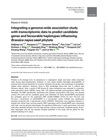 Integrating a genome-wide association study with transcriptomic data to predict candidate genes and favourable haplotypes influencing Brassica napus seed phytate