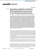 Secondary predation constrains DNA-based diet reconstruction in two threatened shark species