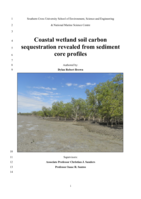 Coastal wetland soil carbon sequestration revealed from sediment core profiles