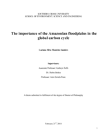 The importance of the Amazonian floodplains in the global carbon cycle