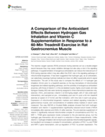 A comparison of the antioxidant effects between hydrogen gas inhalation and vitamin C supplementation in response to a 60-Min treadmill exercise in rat gastrocnemius muscle