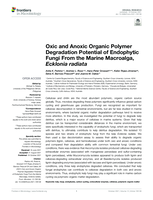Oxic and Anoxic Organic Polymer Degradation Potential of Endophytic Fungi From the Marine Macroalga, Ecklonia radiata