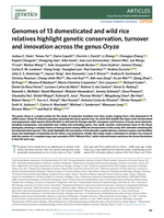 Genomes of 13 domesticated and wild rice relatives highlight genetic conservation, turnover and innovation across the genus Oryza