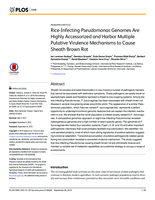 Rice-Infecting Pseudomonas Genomes Are Highly Accessorized and Harbor Multiple Putative Virulence Mechanisms to Cause Sheath Brown Rot