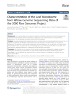 Characterization of the Leaf Microbiome from Whole-Genome Sequencing Data of the 3000 Rice Genomes Project
